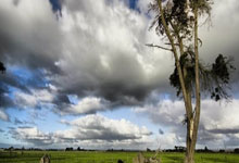 打牌吧下载可靠吗？怎么下载？